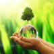 Protecting our World: Aequs committed to the environment