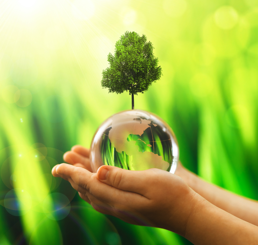Protecting our World: Aequs committed to the environment - Aequs