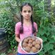 Aequs Foundation Community Spreads the Green Message on WED